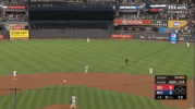 Yankees GIF by Jomboy Media