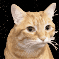 Dio GIF