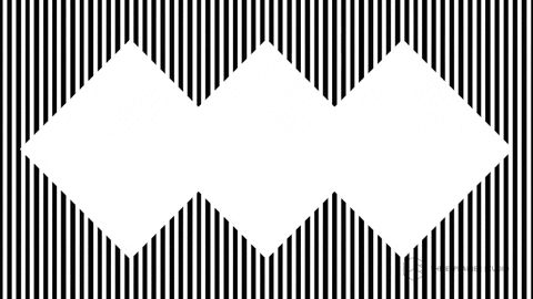 Zebra GIF by The Explainer Studio