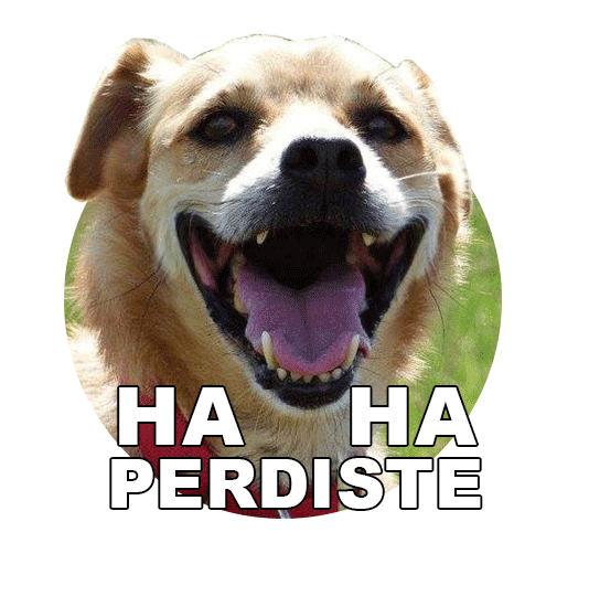 Adoptanocompres Camperito Sticker by El Campito Refugio