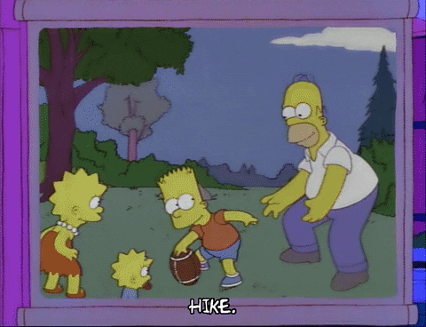 homer simpson GIF