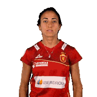 RFEH iberdrola rfeh hockey españa redsticks Sticker