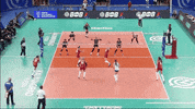 Power Celebrate GIF by Volleyball World