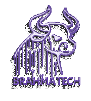 Sticker by Brahma Tech