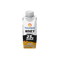 Piracanjuba zerolactose banana cacau frutasvermelhas pastadeamendoim batatadoce baunilha zerolactose zero lactose piracanjuba piracanjubawhey whey pirawhey protein proteina treino musculacao academia yoga exercicio Sticker