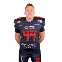 Football Nfl Sticker by Potsdam Royals