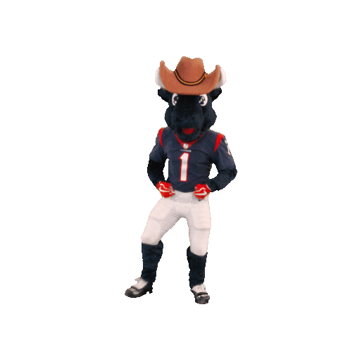 Hat Cowboy Sticker by Houston Texans