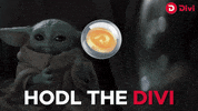 Bitcoin Crypto GIF by Divi Project