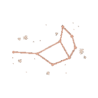 Stars Vida Sticker by Pleia Life