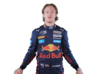 Formula 2 Celebration Sticker by Prema Team