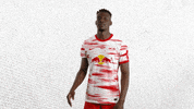 Clap Your Hands Lol GIF by RB Leipzig