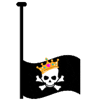 Anne Bonny Flag Sticker by Pen & Sword Books