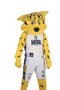 mogibasquete basketball basquete nbb mogi Sticker