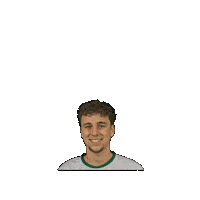Sport Heerlen Sticker by Groene ster