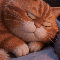 Freaking Out Black Cat GIF