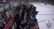 happy ice hockey GIF by NHL