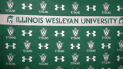 Iwutitans Tgoe GIF by iwusports