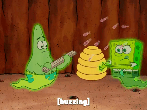 season 7 the curse of bikini bottom GIF by SpongeBob SquarePants