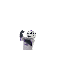 SpringHillCollege badgers shc spring hill hill yeah Sticker