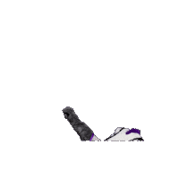 SpringHillCollege badgers shc spring hill hill yeah Sticker