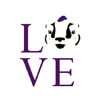 Badger Sticker by Spring Hill College