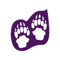 SpringHillCollege badgers shc spring hill hill yeah Sticker