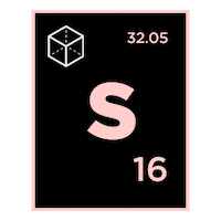 abrecultura 118 eglc elgatoylacaja elgatoylacaja s Sticker