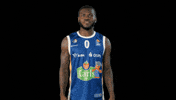 Basketball Tj GIF by Rostock Seawolves