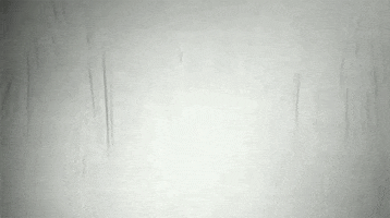 art nuke GIF by hoppip