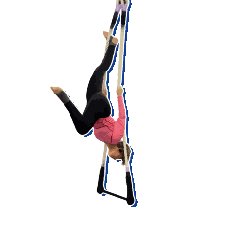 Cirque Circuslife Sticker by CT Aerial Yoga