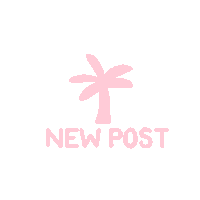 festival cancun Sticker by KunnaMx