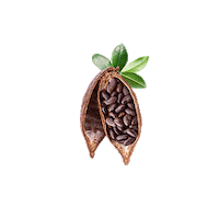 decacaustore bunny chocolate cocoa pascoa Sticker