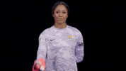 Womens Soccer No GIF by National Women's Soccer League
