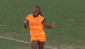 Goalcelebration GIF by National Women's Soccer League