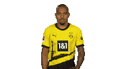 Come Here Borussia Dortmund Sticker by Bundesliga