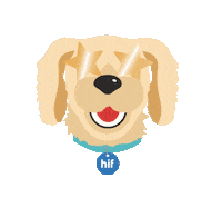 Animated Sticker