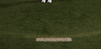 Lacrosse GIF by Lafayette Leopards