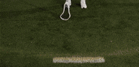 Lacrosse GIF by Lafayette Leopards