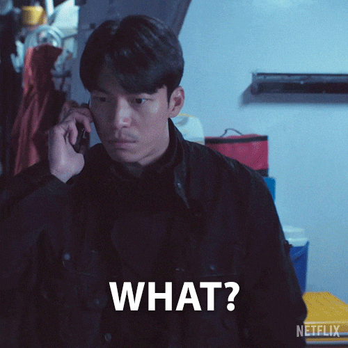 Record Scratch What GIF by NETFLIX