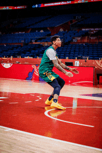 Fiba World Cup GIF by FIBA