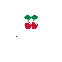 House Party Sticker by Pacha