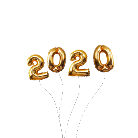 guptanya giphyupload 2020 new year happy new year Sticker