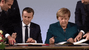 Germany GIF by euronews