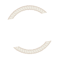 Aspen Sticker by The Agency