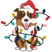 Christmas Lights Santa Paws Sticker by piper & co.