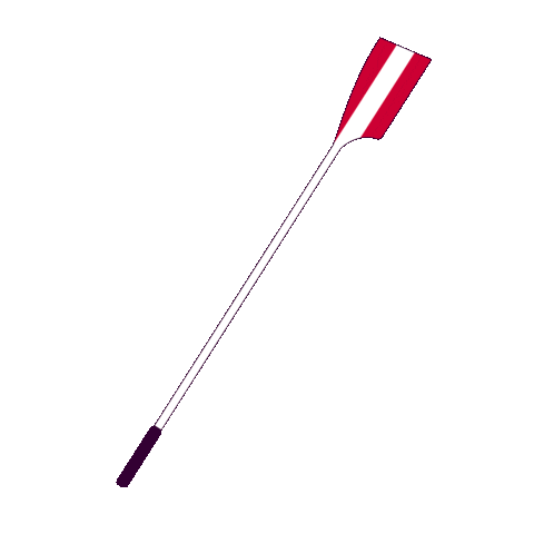 News Austria Sticker by Rowing.at