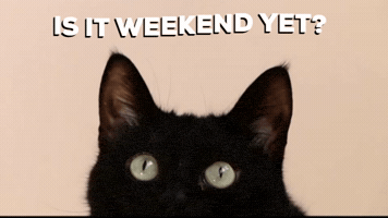 Ready For The Weekend Friday GIF