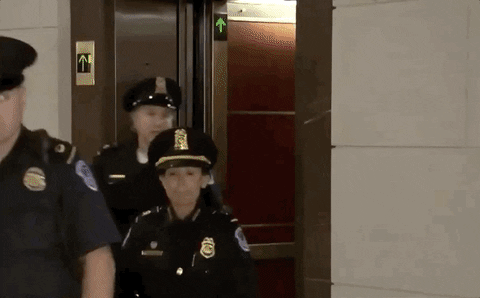 giphyupload giphynewsuspolitics impeachment inquiry giphynewsimpeachment fiona hill GIF