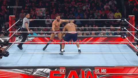 Wwe Wrestling GIF by USA Network