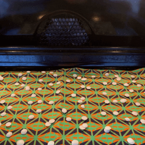 kumaneko giphygifmaker beewrap GIF